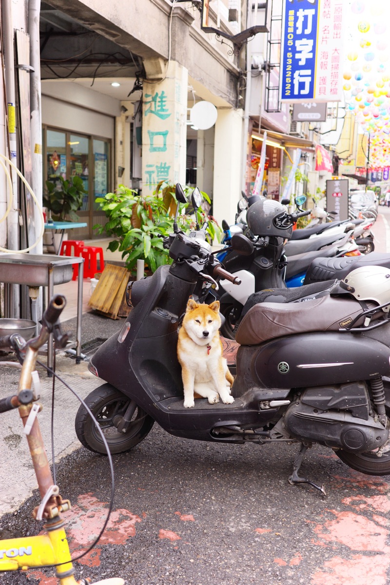 老街碗粿 | 去趣 chicTrip