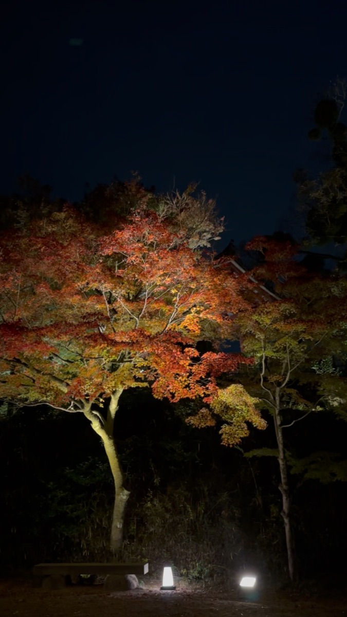 平等院 | 去趣 chicTrip