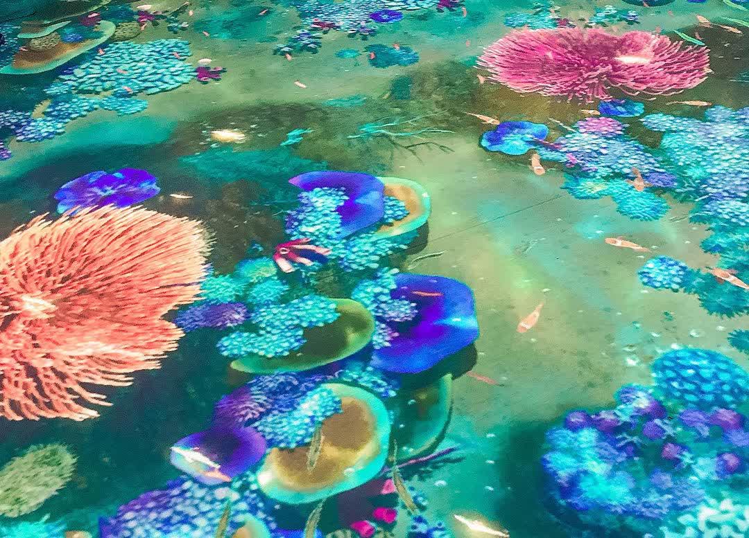 Xpark 水族館 | 去趣 chicTrip