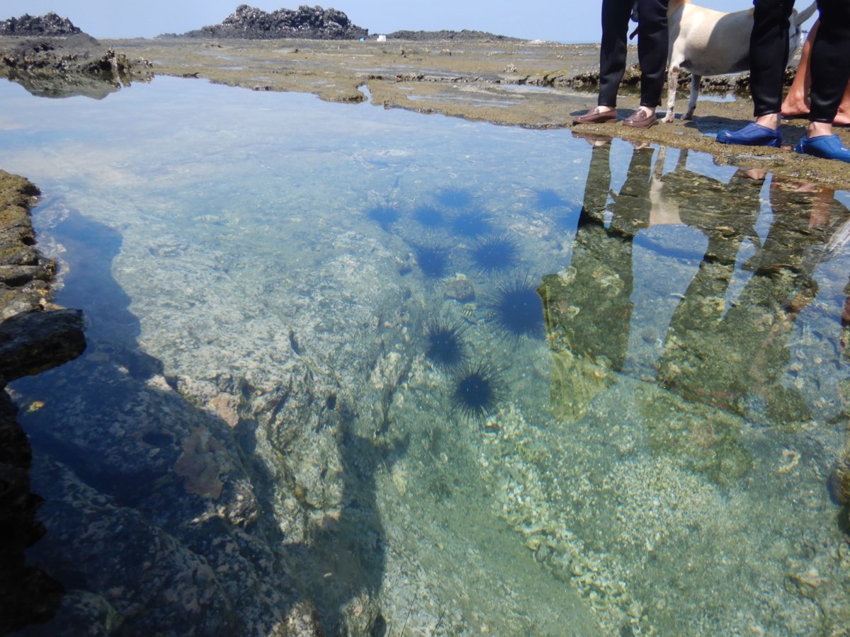 金瓜仔礁（忘憂島） | 去趣 chicTrip