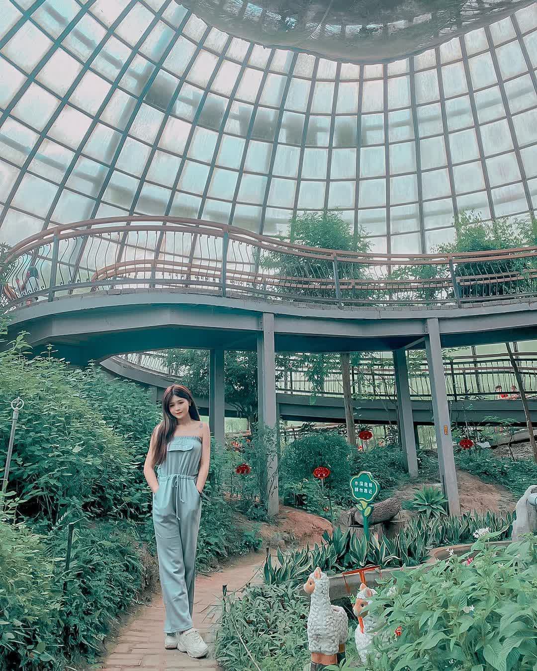 嘉大昆蟲館 | 去趣 chicTrip