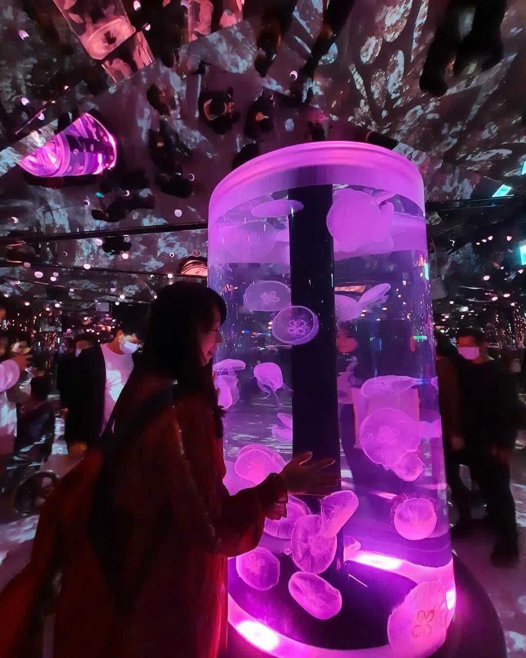 Xpark 水族館 | 去趣 chicTrip