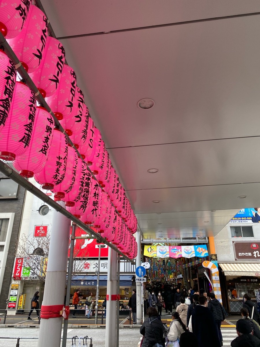 中野（東京） | 去趣 chicTrip