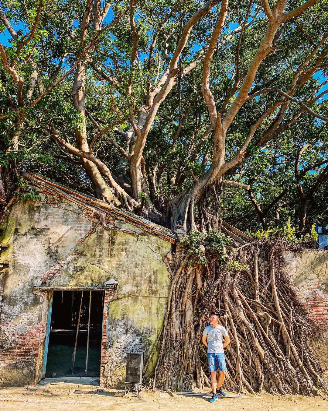 安平樹屋 | 去趣 chicTrip