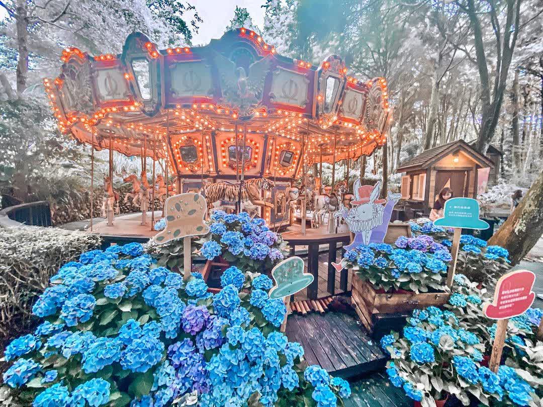 薰衣草森林台中新社店 | 去趣 chicTrip