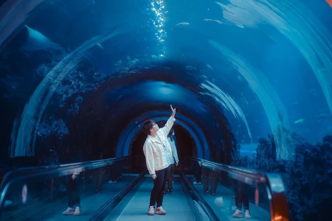 國立海洋生物博物館 | 去趣 chicTrip