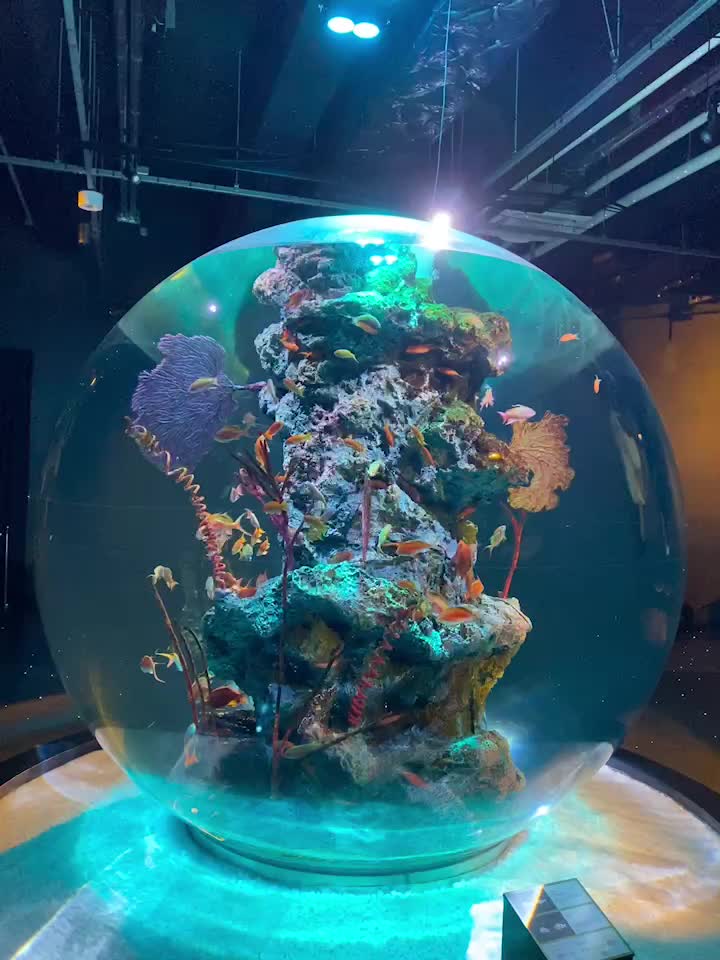 átoa 藝術水族館 | 去趣 chicTrip