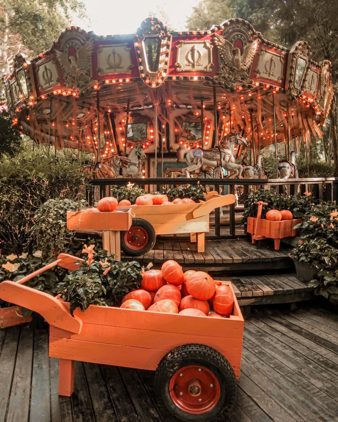 薰衣草森林台中新社店 | 去趣 chicTrip