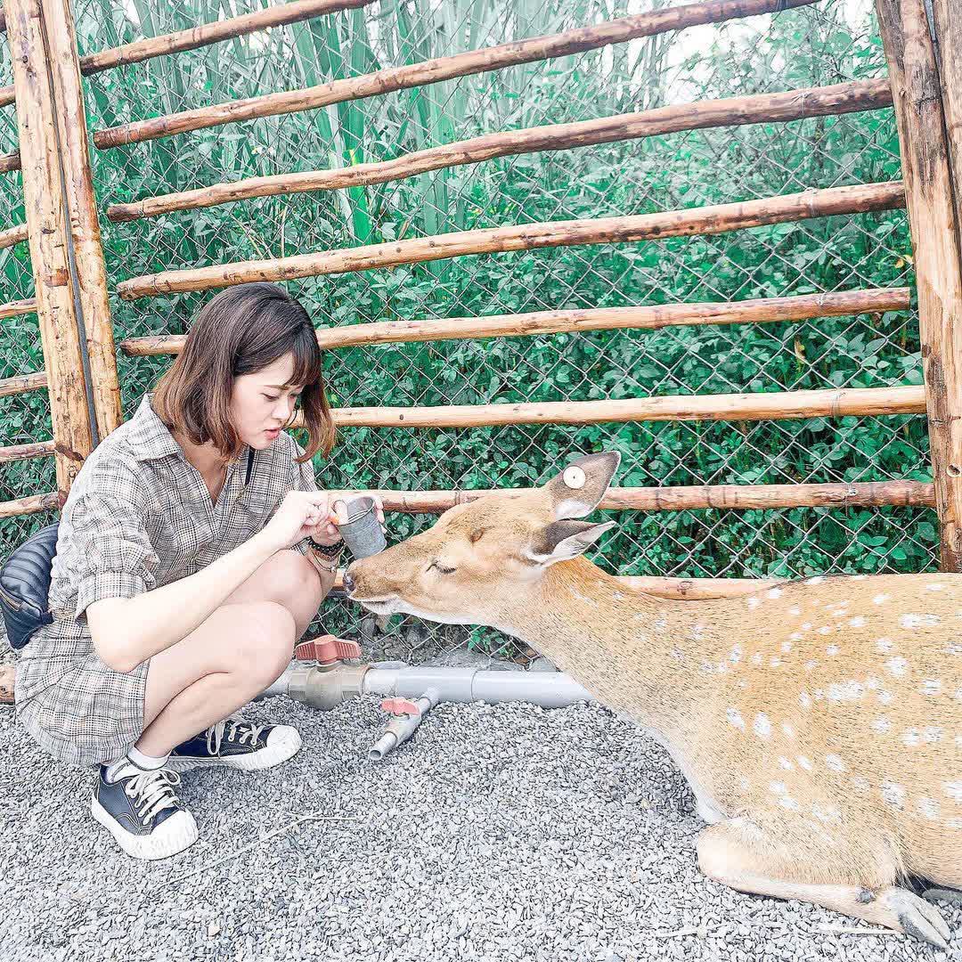 宜蘭-斑比山丘 | 去趣 chicTrip