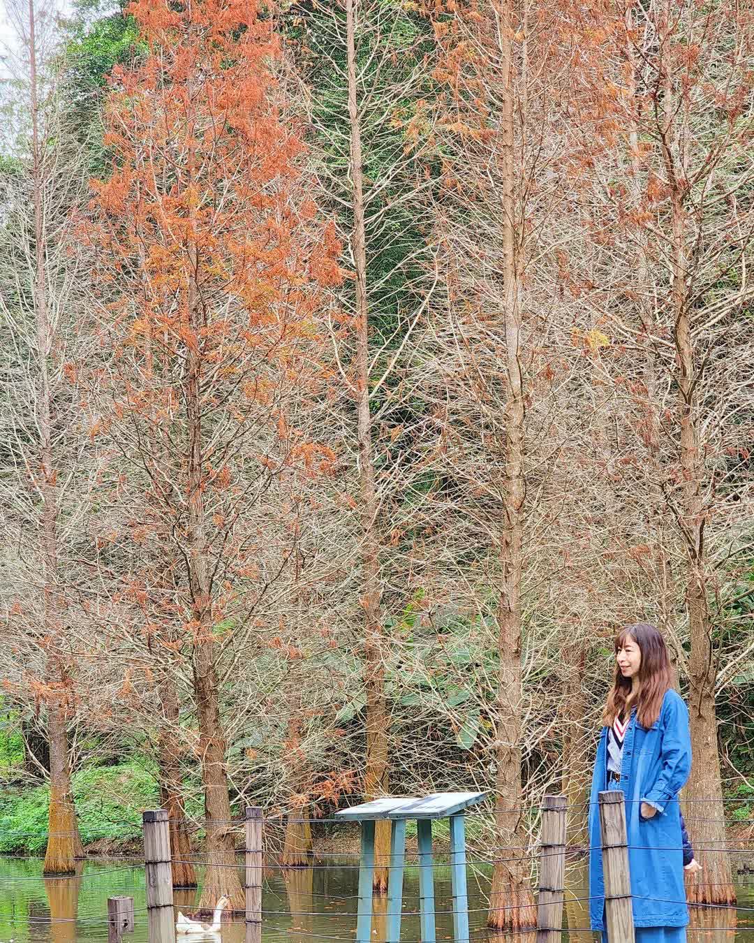 綠世界生態農場 | 去趣 chicTrip