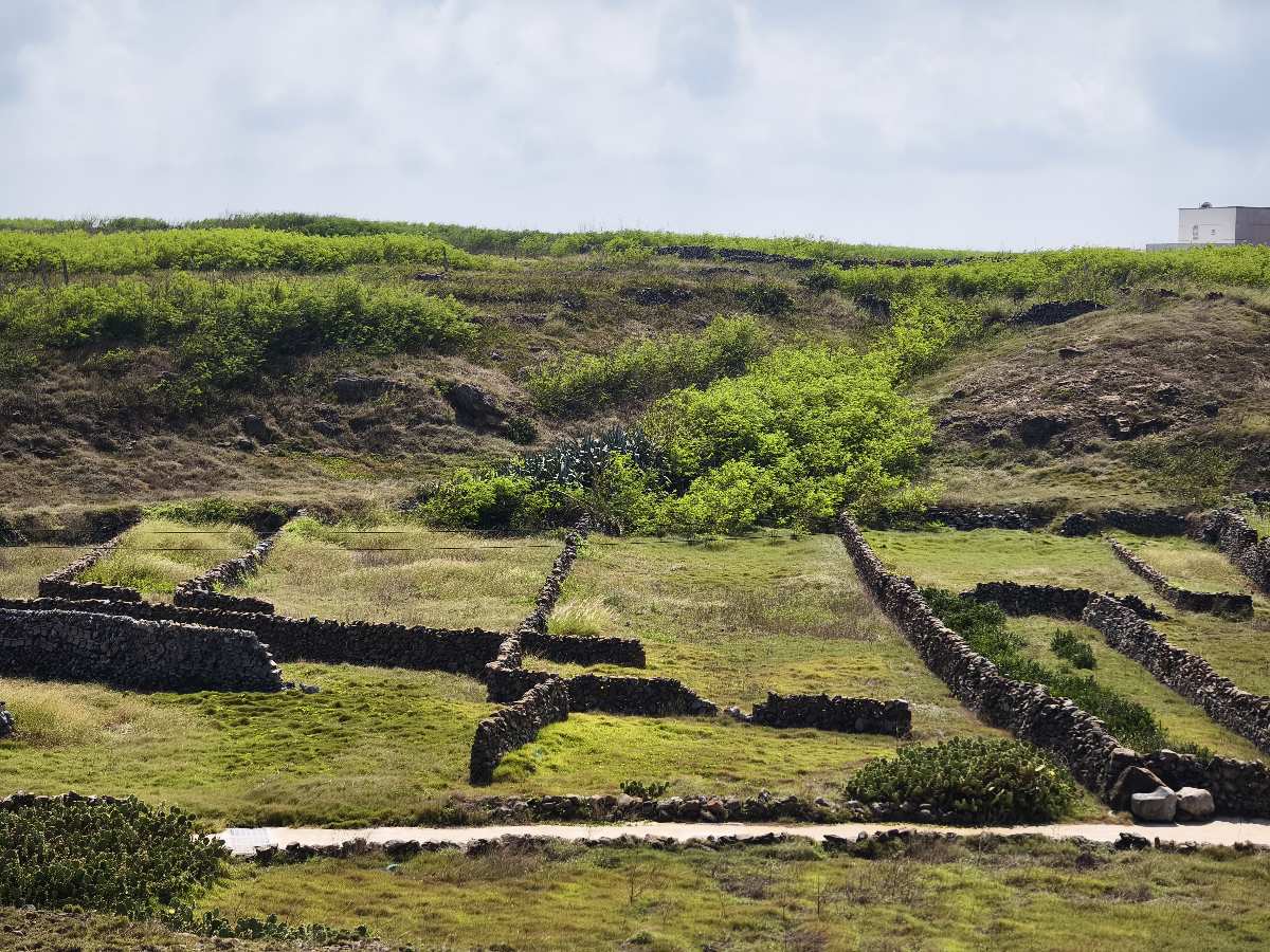 鯨魚洞 | 去趣 chicTrip