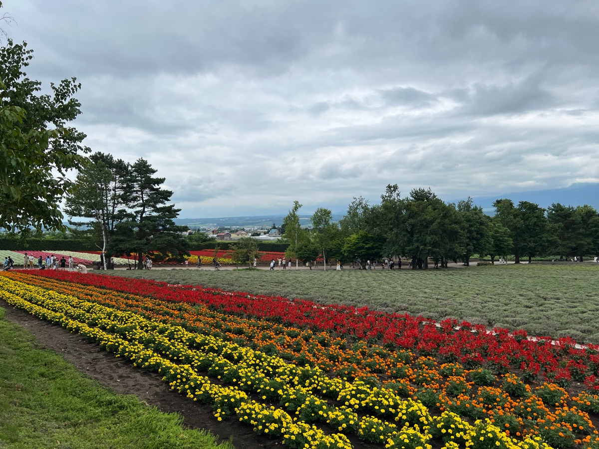 富田農場 | 去趣 chicTrip