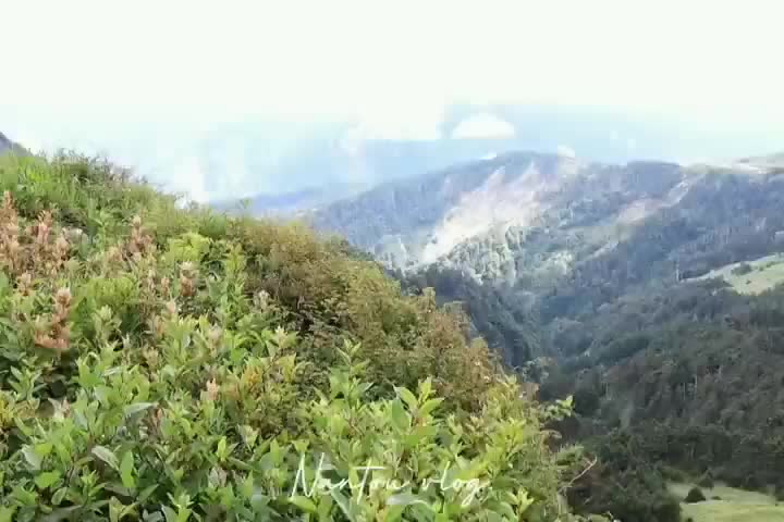 清境農場青青草原 | 去趣 chicTrip