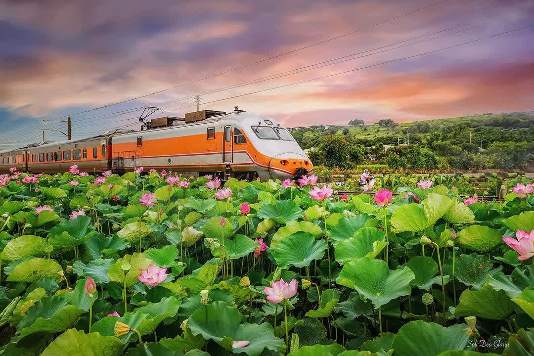 後龍好望角風景區 | 去趣 chicTrip