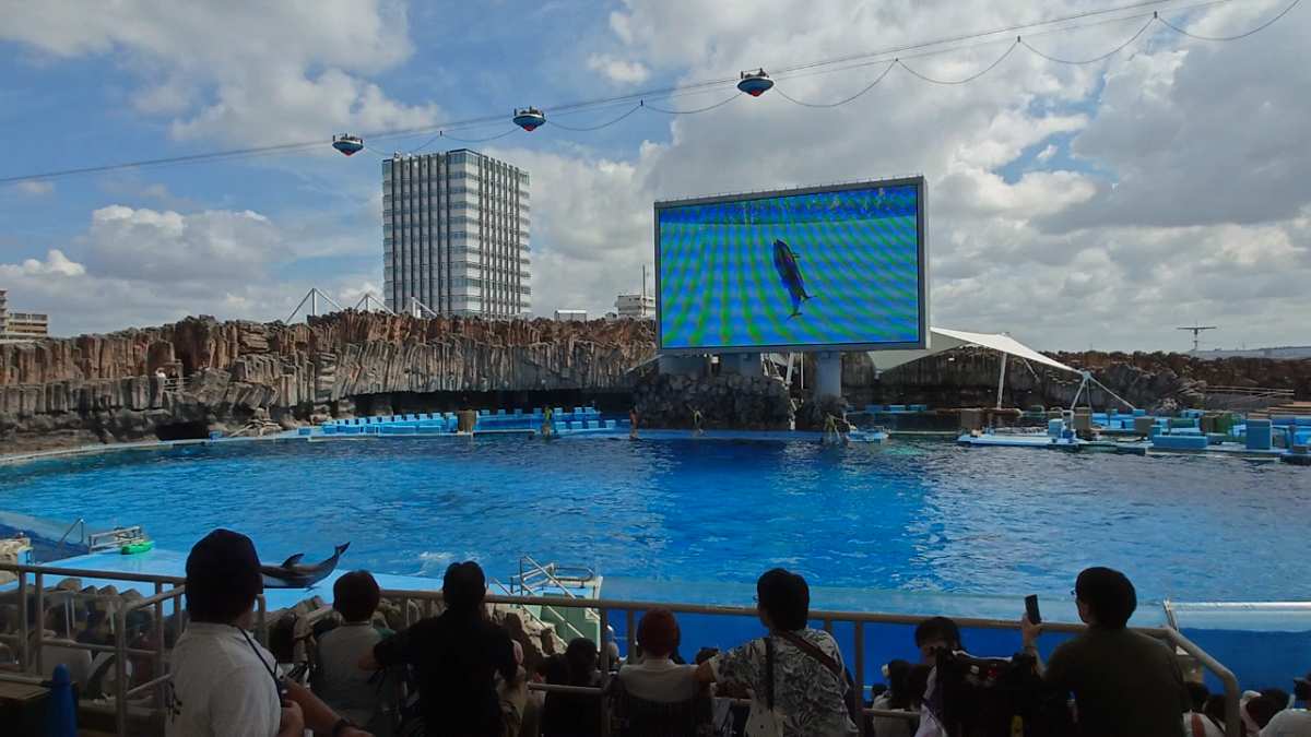 名古屋港水族館 | 去趣 chicTrip