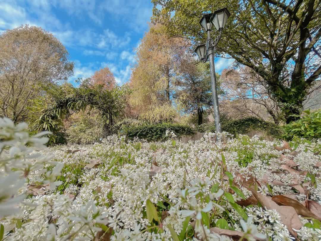 台一生態休閒農場(楓樺台一渡假村) | 去趣 chicTrip