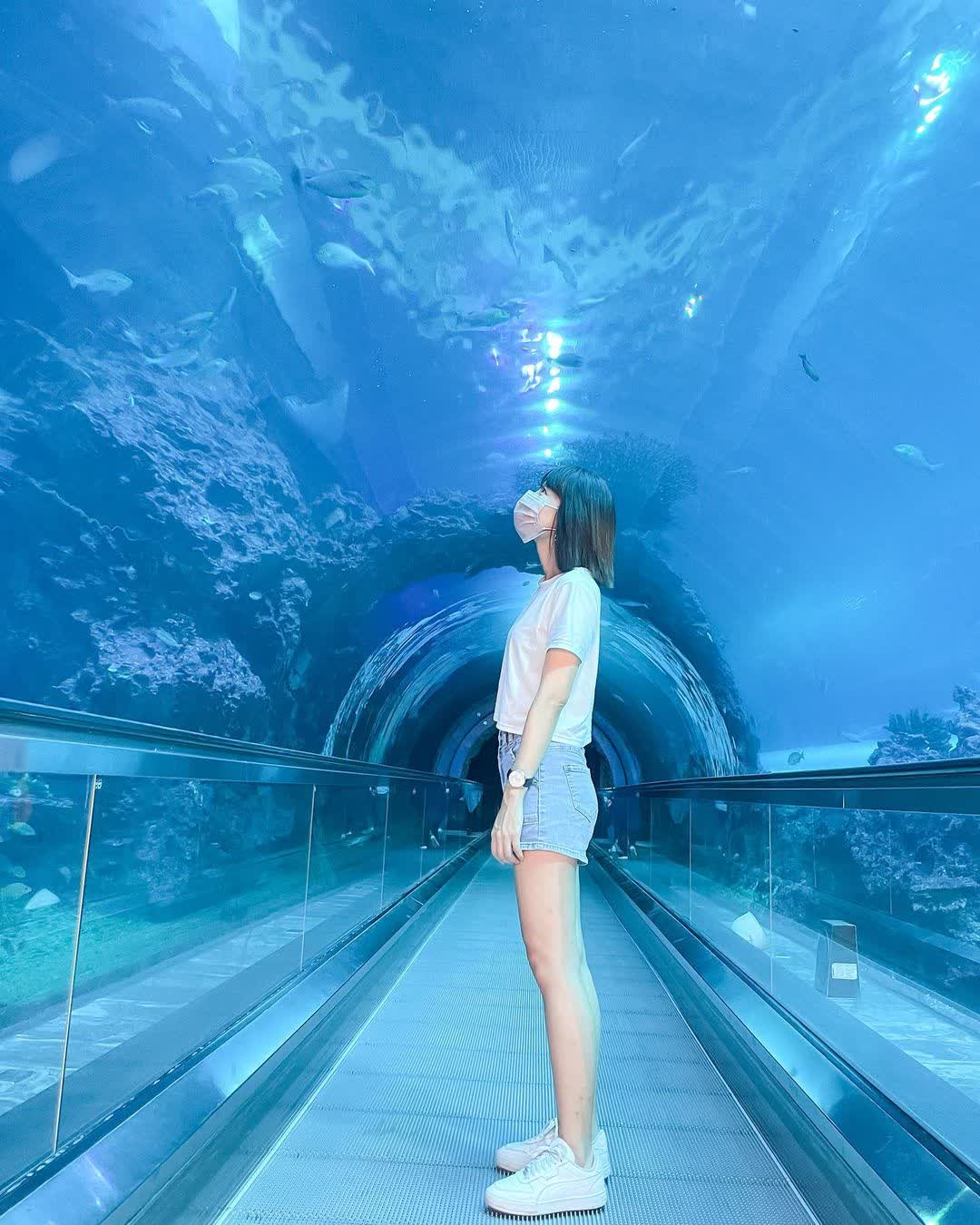 國立海洋生物博物館 | 去趣 chicTrip