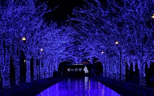 代代木公園 | 去趣 chicTrip