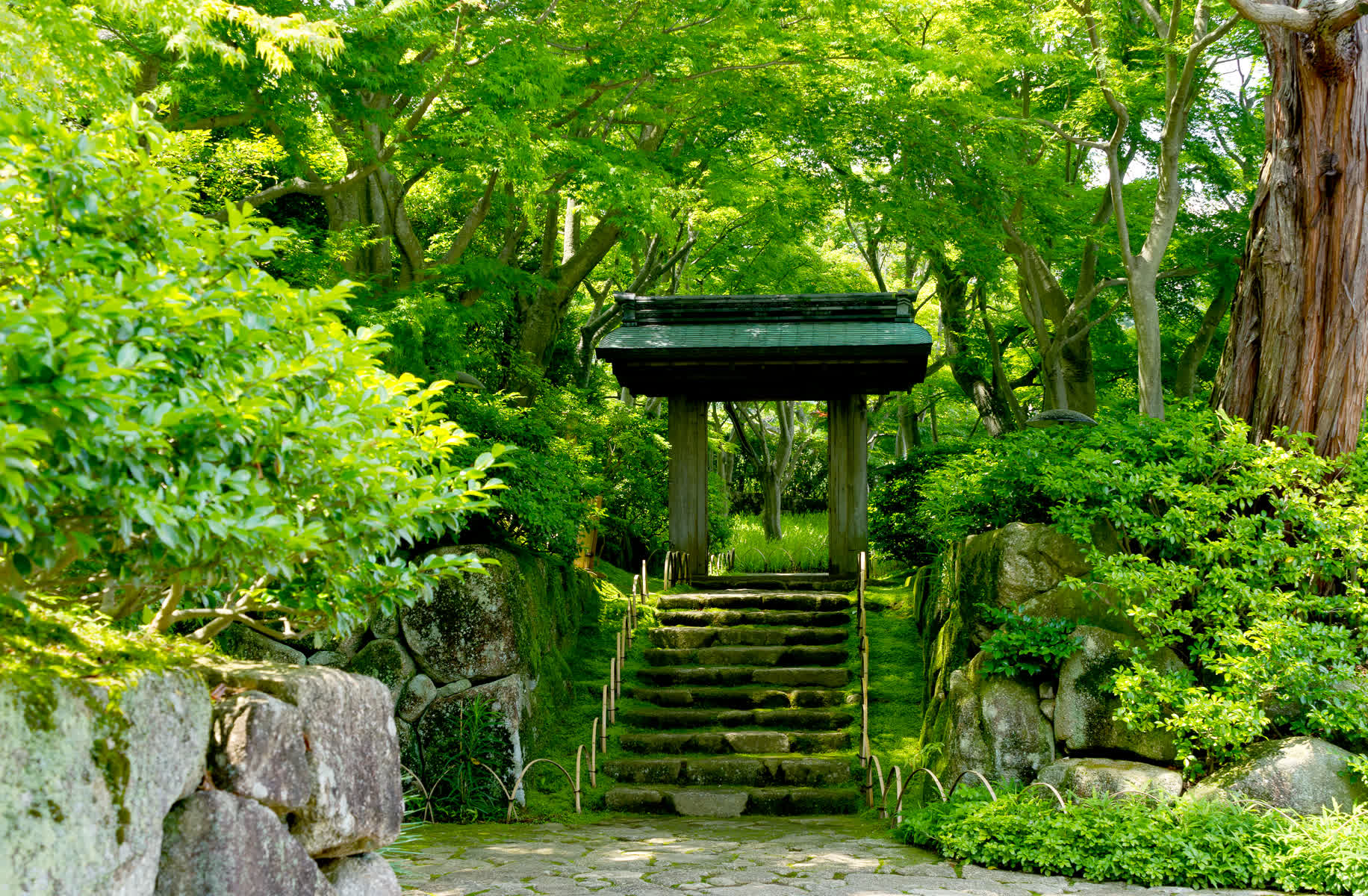 MOA美術館 | 去趣 chicTrip