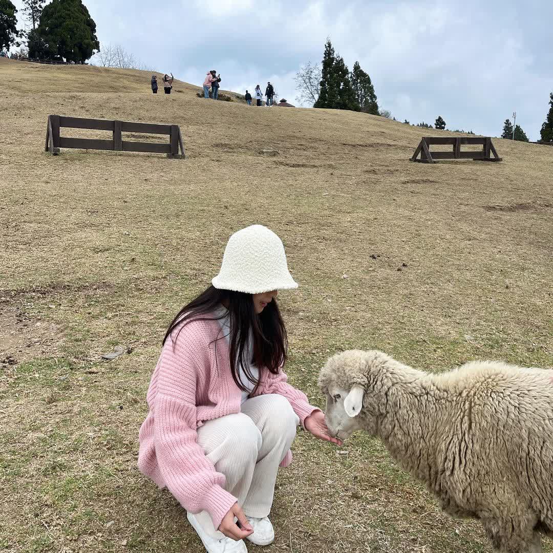 清境農場青青草原 | 去趣 chicTrip