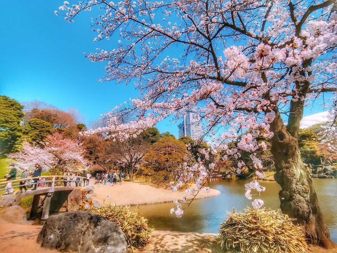 小石川後樂園 | 去趣 chicTrip