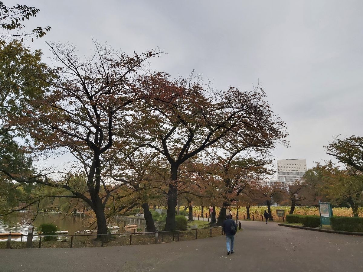 上野恩賜公園 | 去趣 chicTrip