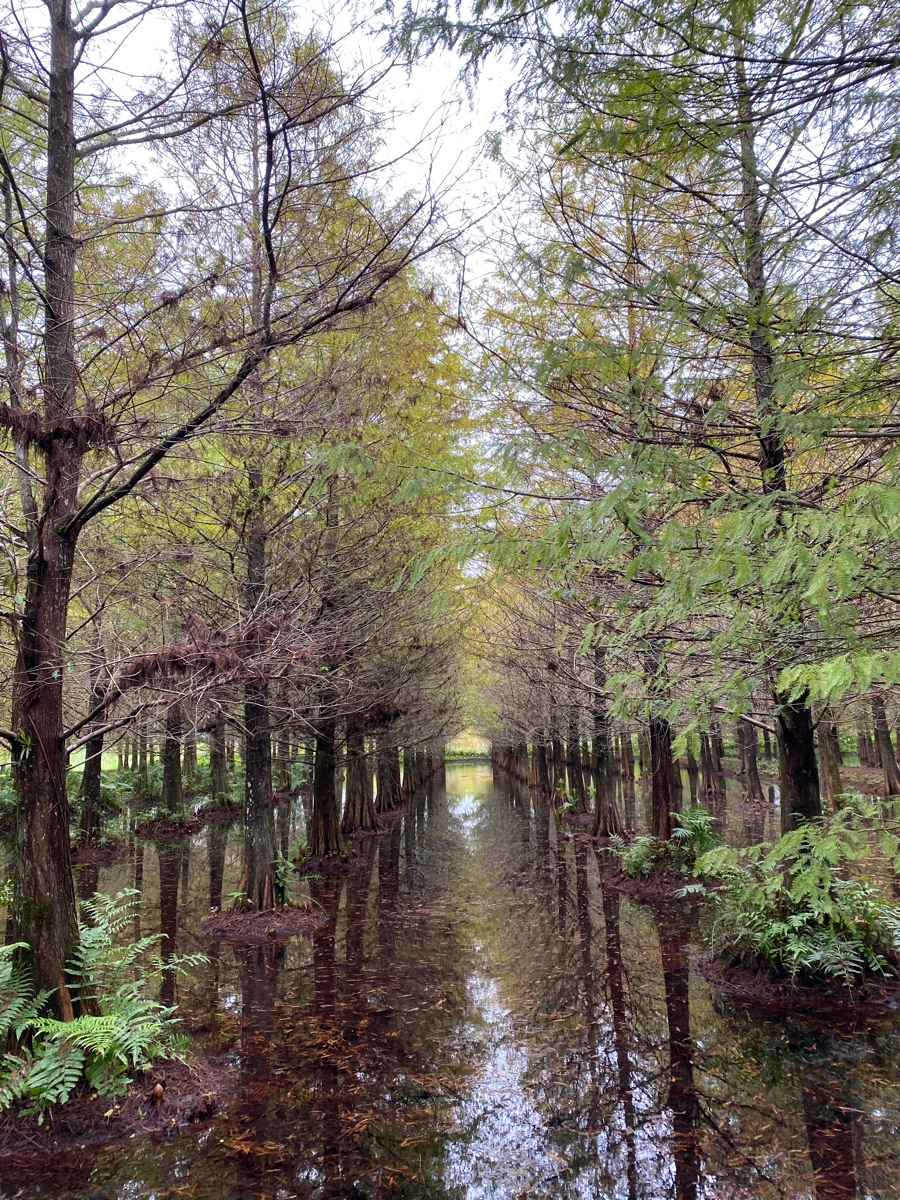 花蓮雲山水夢幻湖 | 去趣 chicTrip