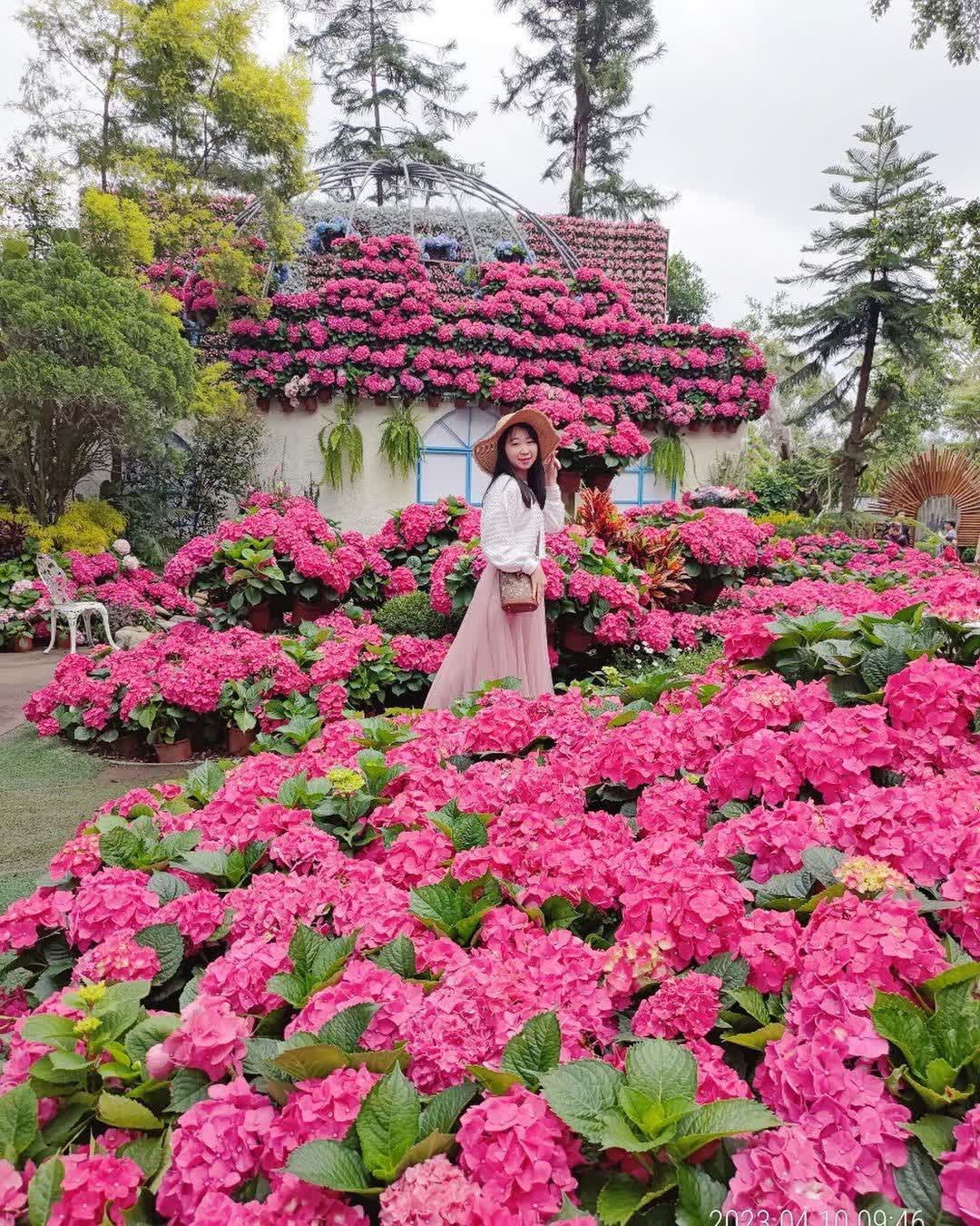 花露農場 Flower Home | 去趣 chicTrip