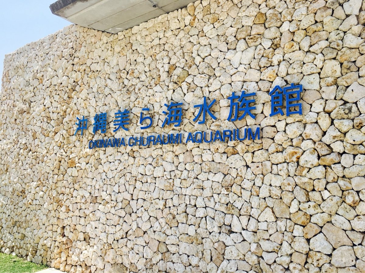 沖繩美麗海水族館 | 去趣 chicTrip