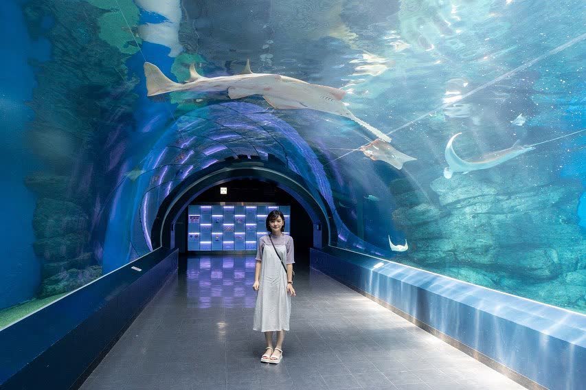 室內水族館 Maxell Aqua Park | 去趣 chicTrip