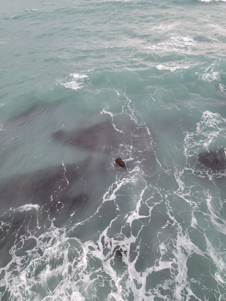 三仙台跨海步橋 | 去趣 chicTrip