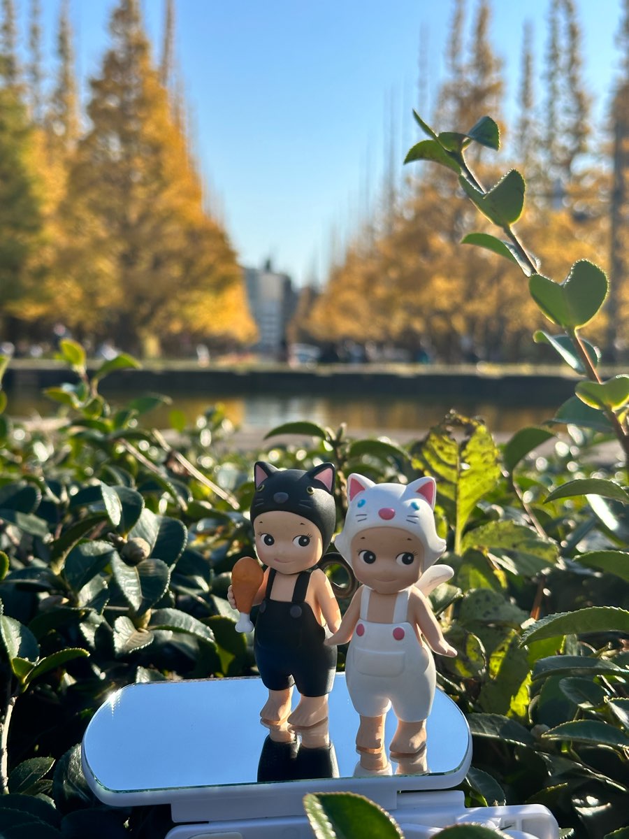 明治神宮外苑銀杏林 | 去趣 chicTrip