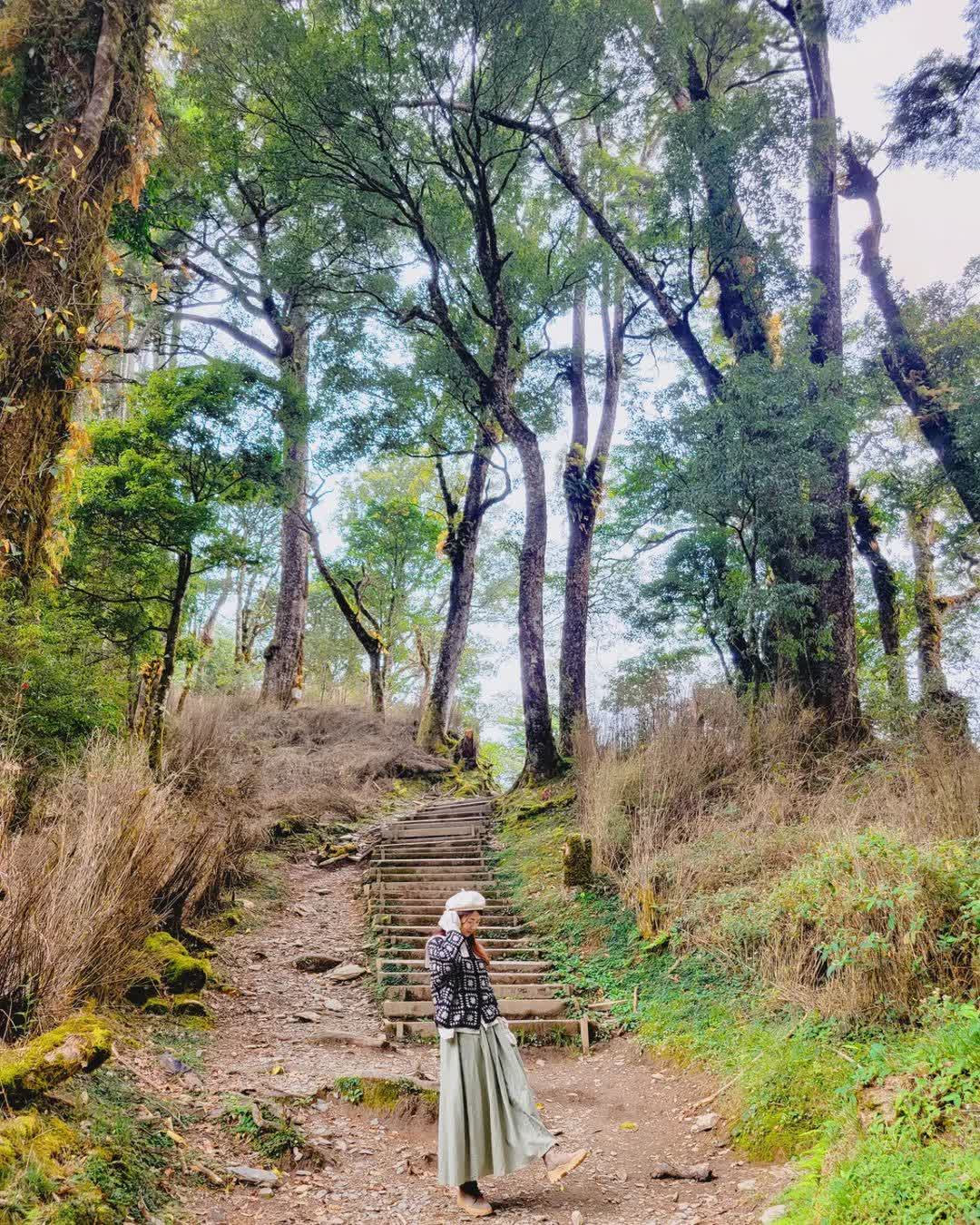 檜山巨木群步道 | 去趣 chicTrip