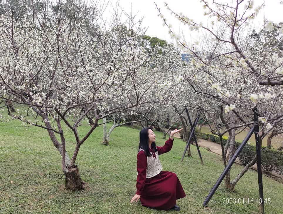 角板山行館 | 去趣 chicTrip