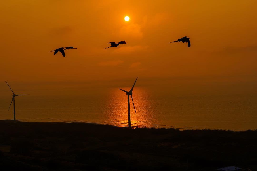 後龍好望角風景區 | 去趣 chicTrip