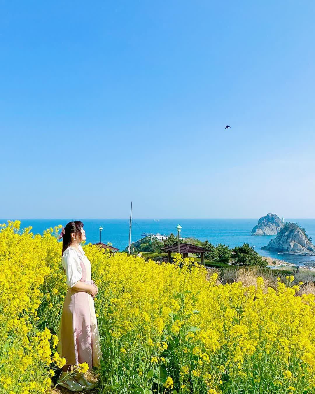 五六島日出公園 | 去趣 chicTrip