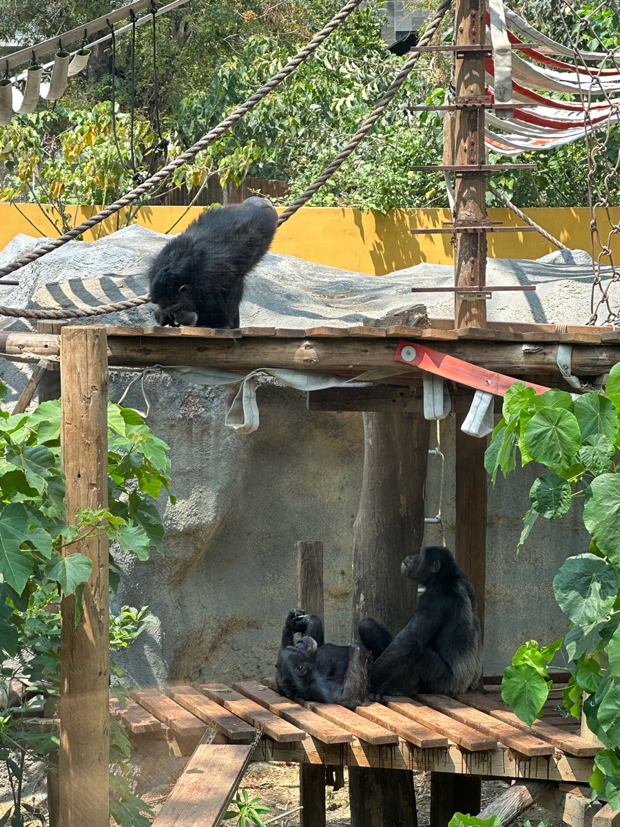 壽山動物園 | 去趣 chicTrip