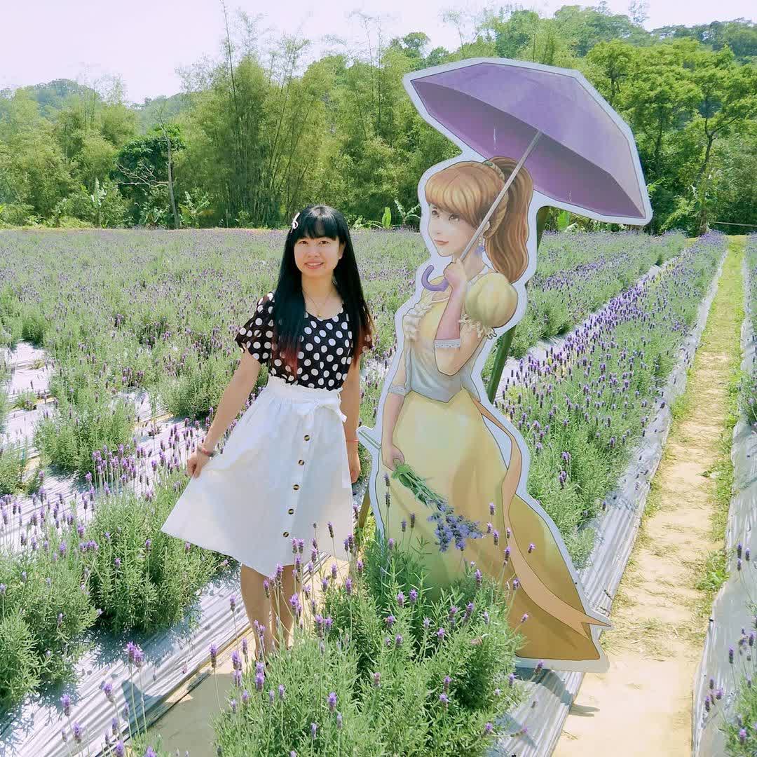 葛瑞絲香草田 | 去趣 chicTrip