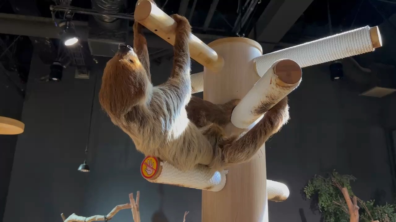 DMM Kariyushi水族館 | 去趣 chicTrip