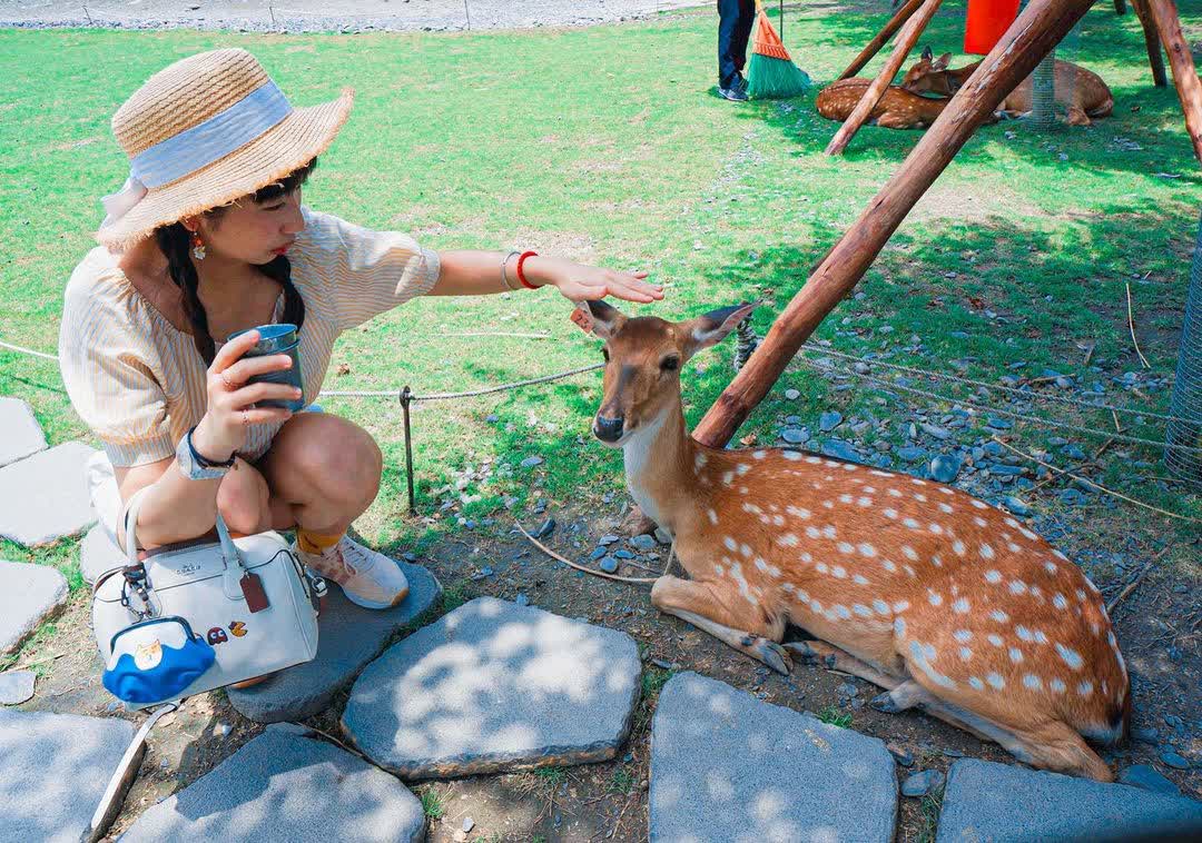 宜蘭-斑比山丘 | 去趣 chicTrip