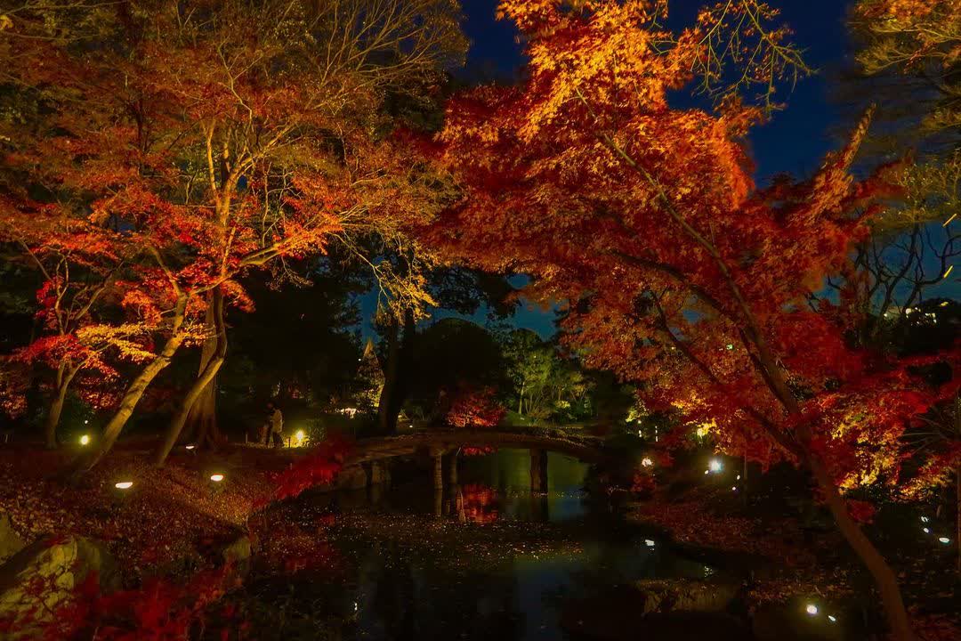 六義園 | 去趣 chicTrip