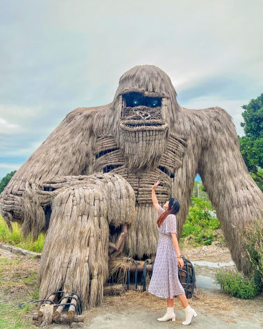 富里花海景觀區  (花蓮縣富里鄉農會旁) | 去趣 chicTrip