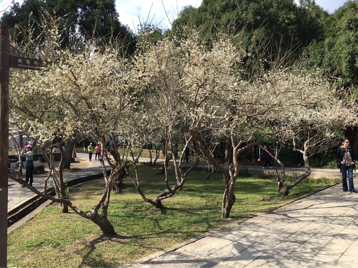 角板山行館 | 去趣 chicTrip