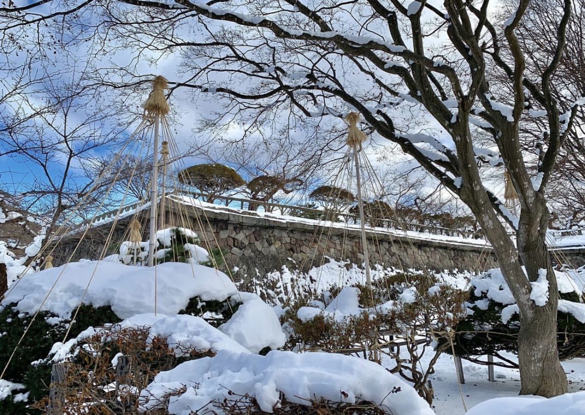 五稜郭公園 | 去趣 chicTrip