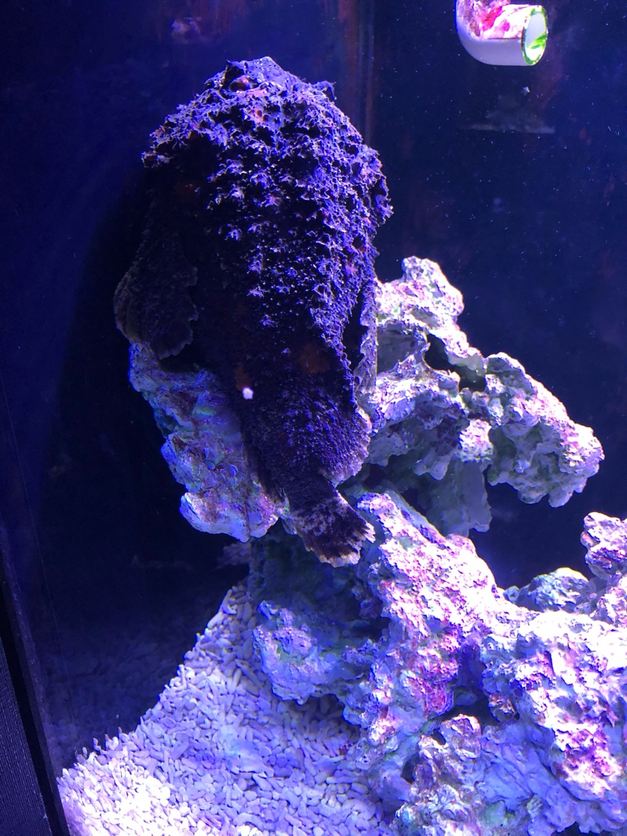 金車生技水產養殖研發中心 | 去趣 chicTrip