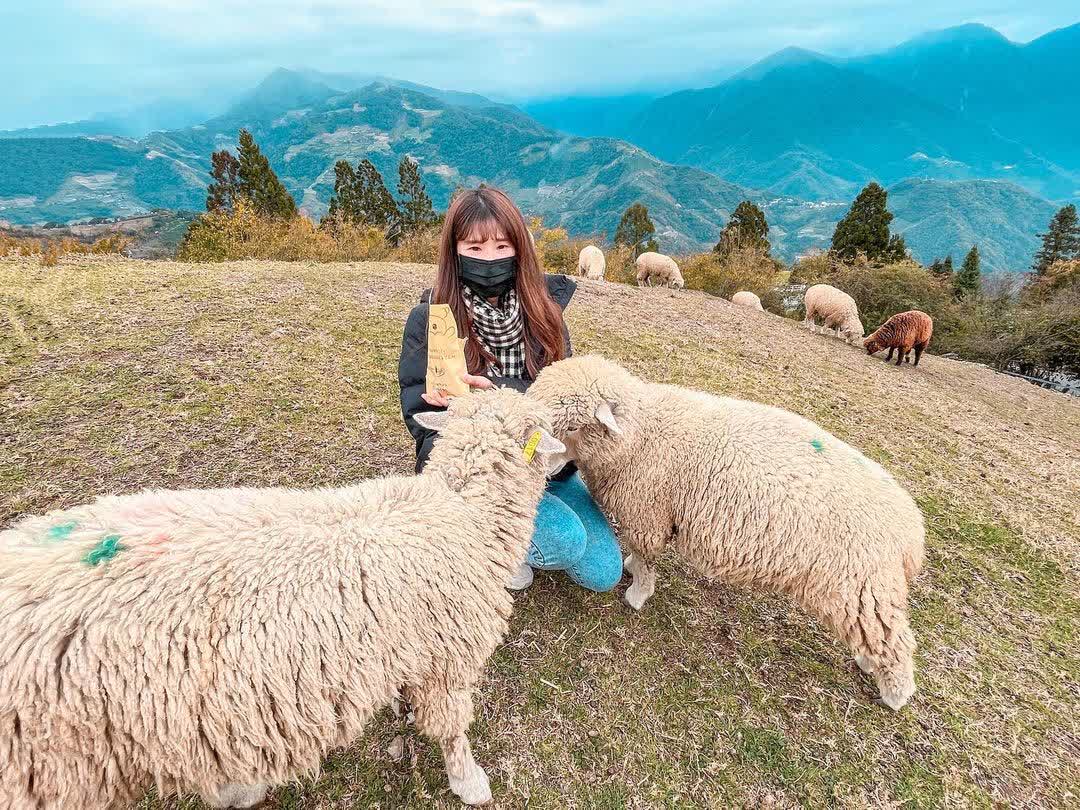 清境農場青青草原 | 去趣 chicTrip