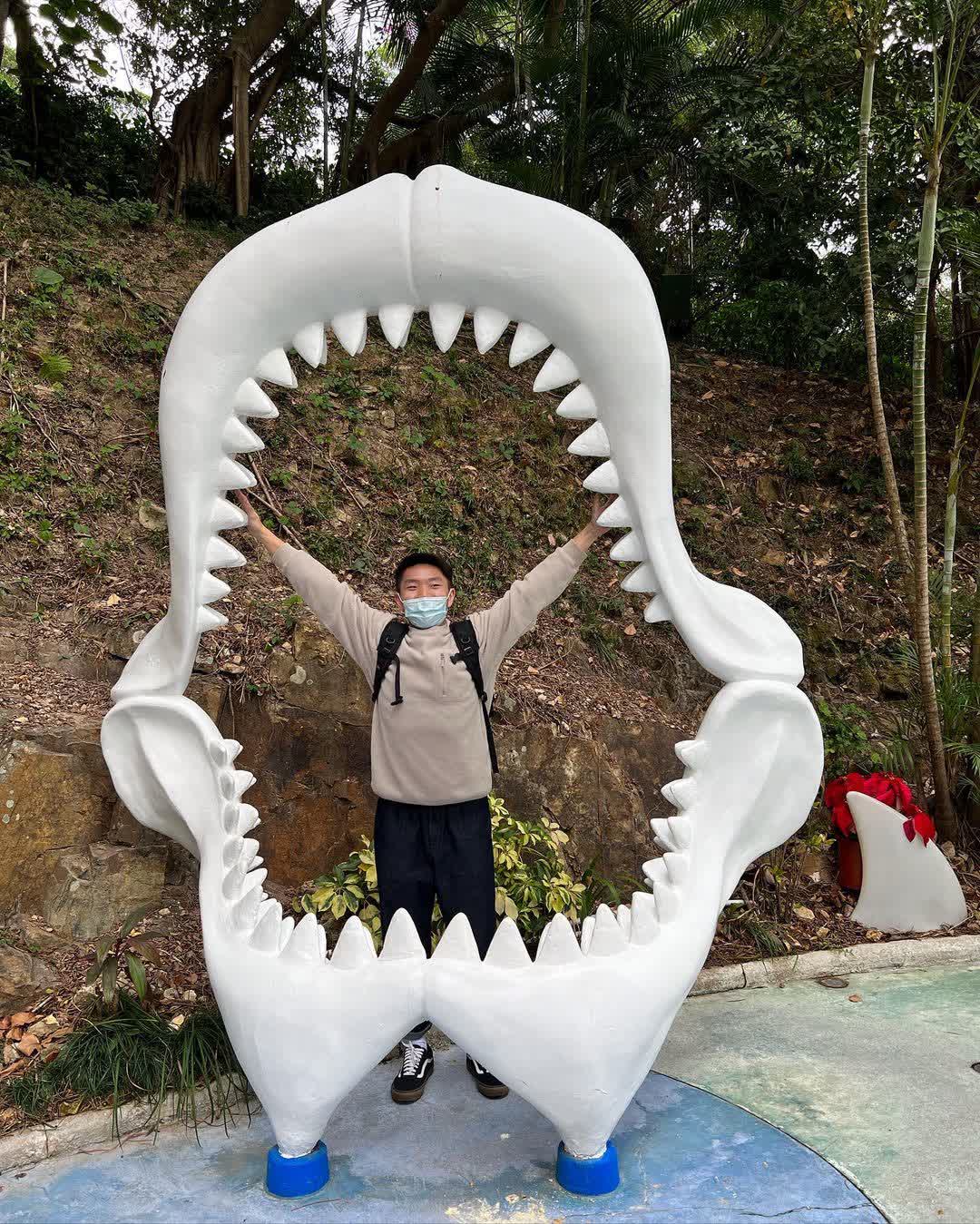 香港海洋公園 | 去趣 chicTrip