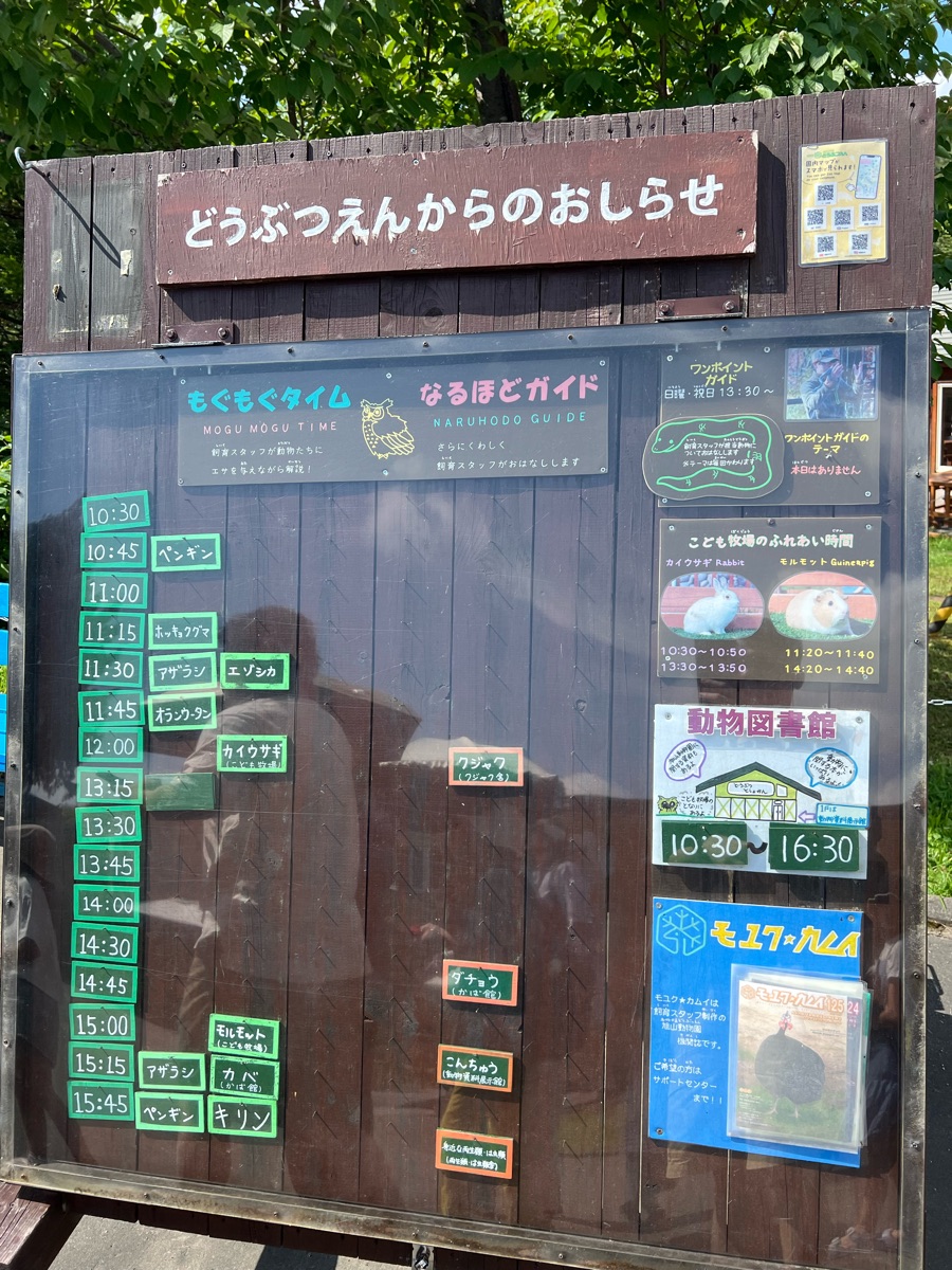 旭山動物園 | 去趣 chicTrip