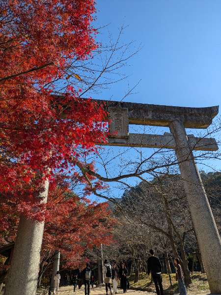 寶滿宮 竈門神社 | 去趣 chicTrip