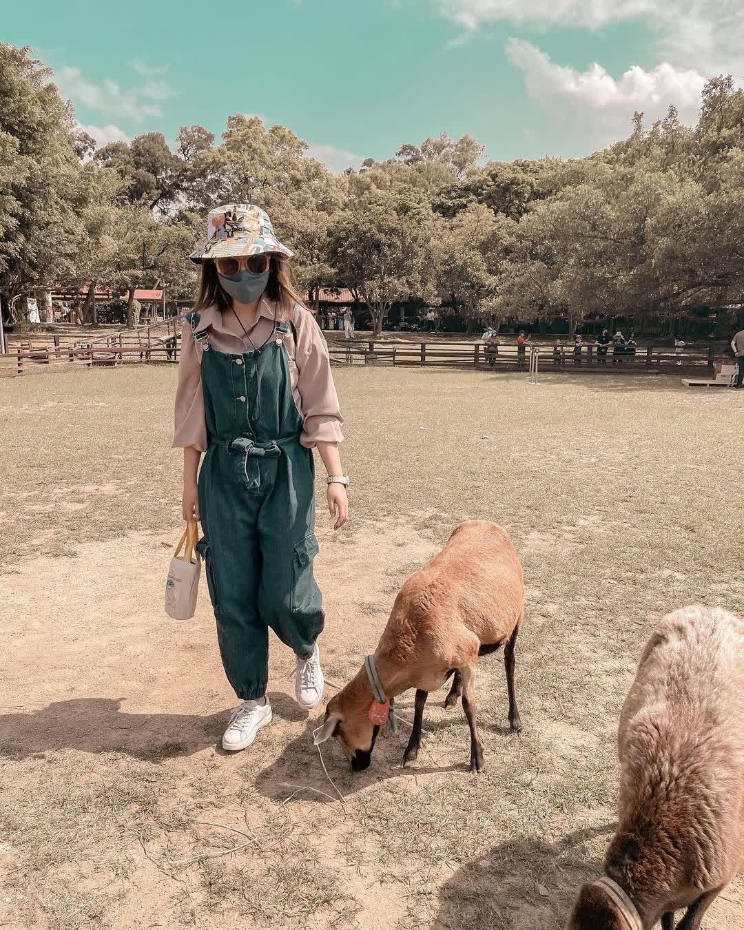 埔心牧場 | 去趣 chicTrip